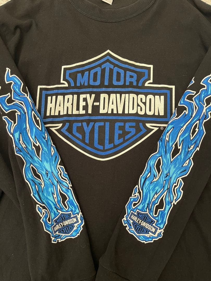 白窪　90s 00s harley davidson ハーレー ブルー