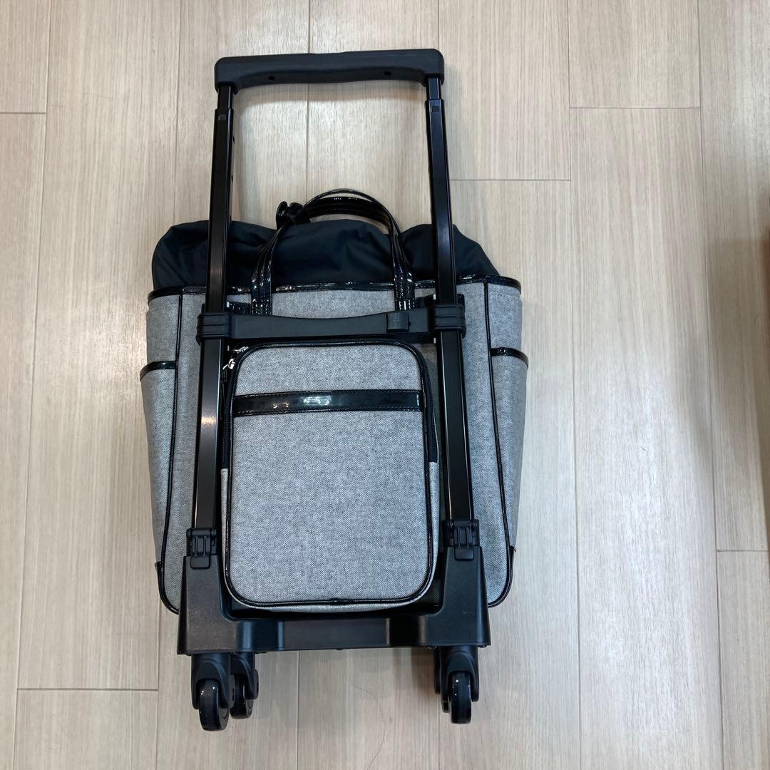 スワニーキャリーバック