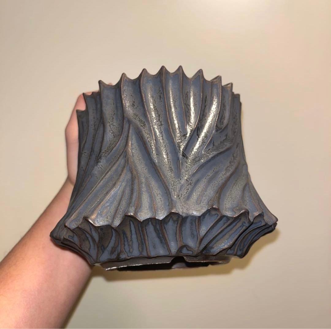 XL SIZE 植木鉢 作家鉢 アガベ グラキリス ホリダ チタノタ シーザー