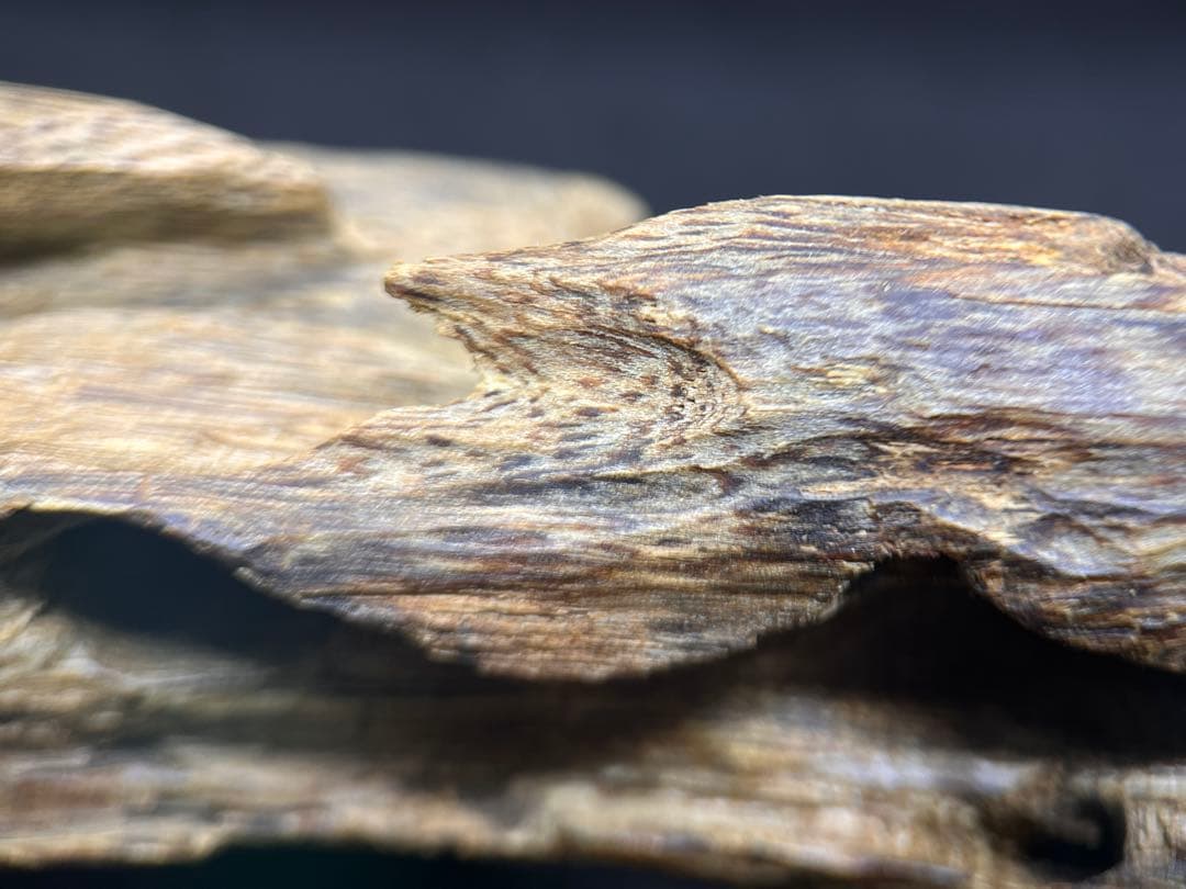 お香 天然沈香 六国五味聞香用 伽羅 香木 1-S-52g 新年特別出品