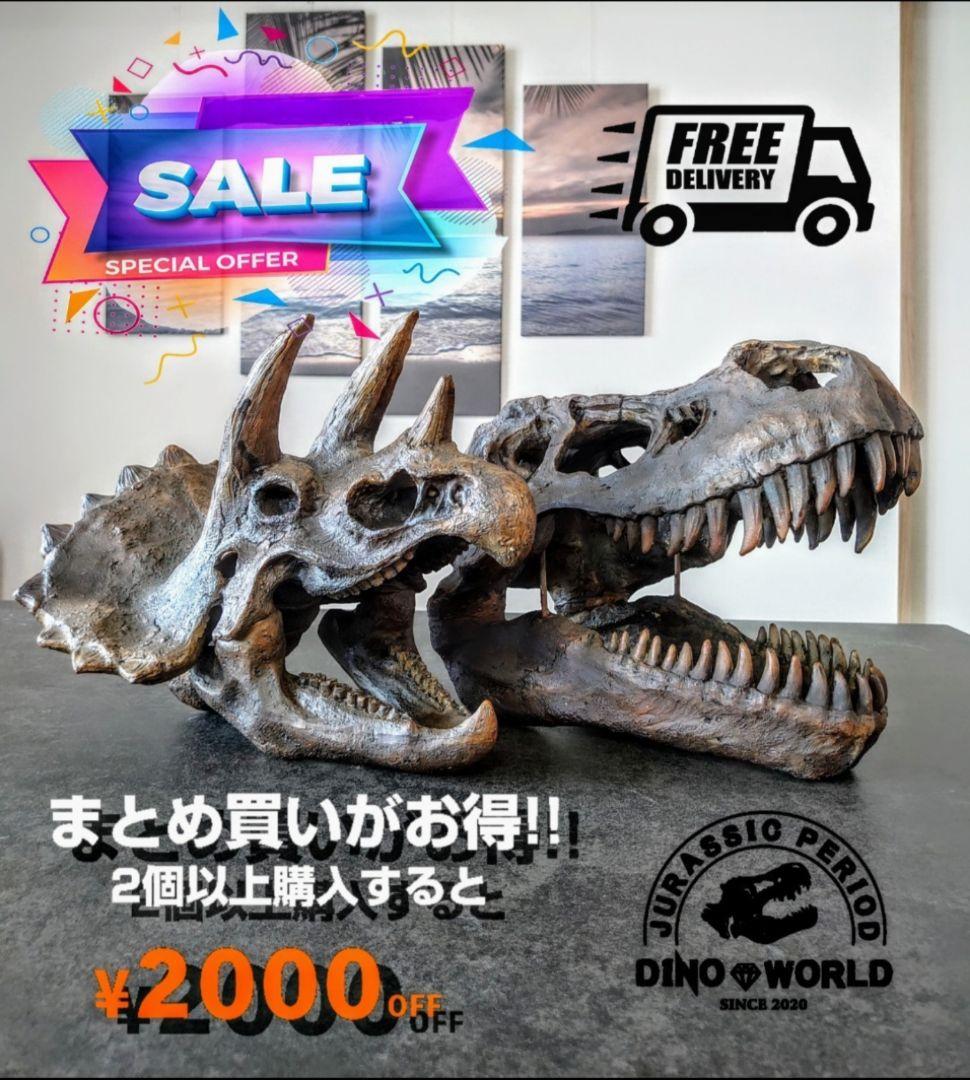 【2個セット】外箱なし ティラノサウルス トリケラトプス 頭骨 化石レプリカ