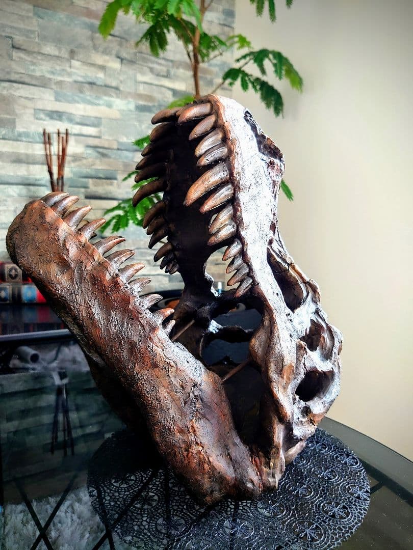 【2個セット】外箱なし ティラノサウルス トリケラトプス 頭骨 化石レプリカ