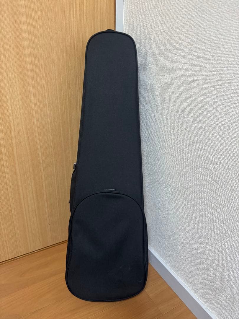 HORA Reghin 4/4 Romania 2019 バイオリン