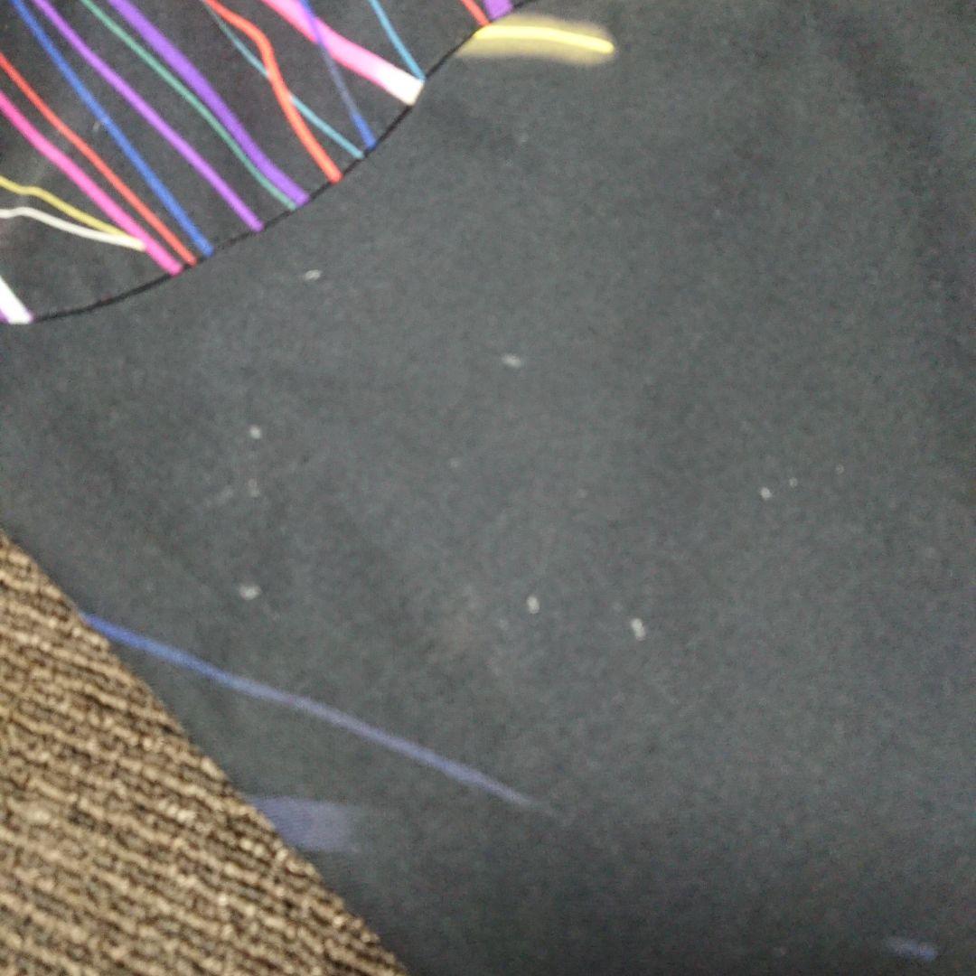 送料無料【DESCENTE】上級スキーウェア上下セットアップ L/L