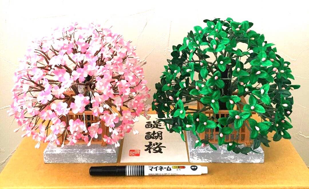 特選◯醍醐桜　6号◯雛人形　ひな祭り　雛道具　橘桜