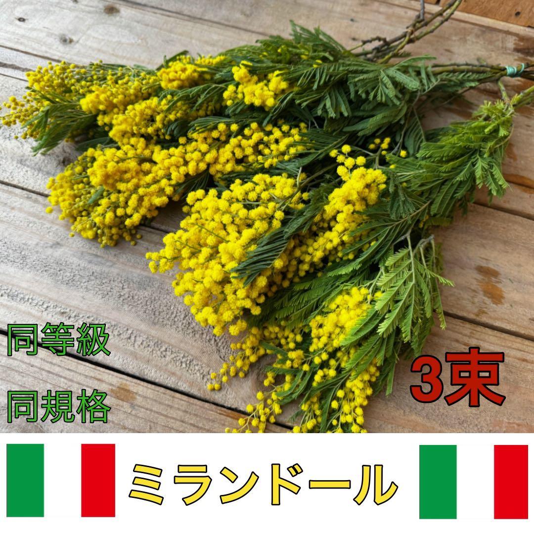 R様 リクエスト 3点 まとめ商品