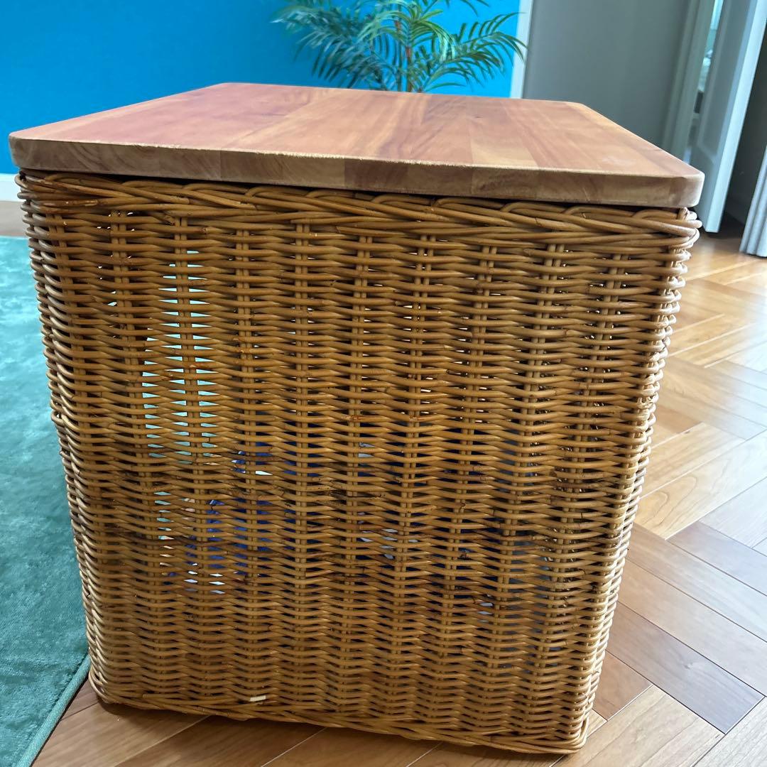 ラタン　ペットハウス クッション付き　籐製サイドテーブル