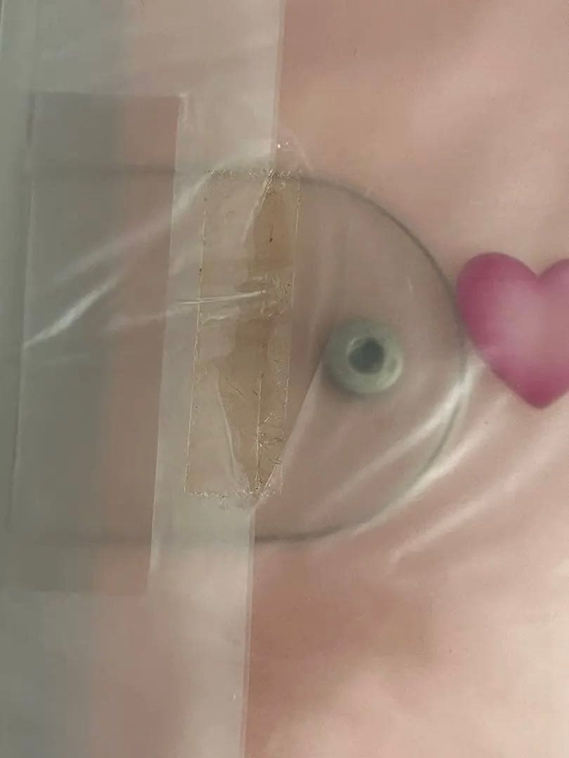 キティ　バインダー・ノート・ケースセット　サンリオ　ハローキティ　文具