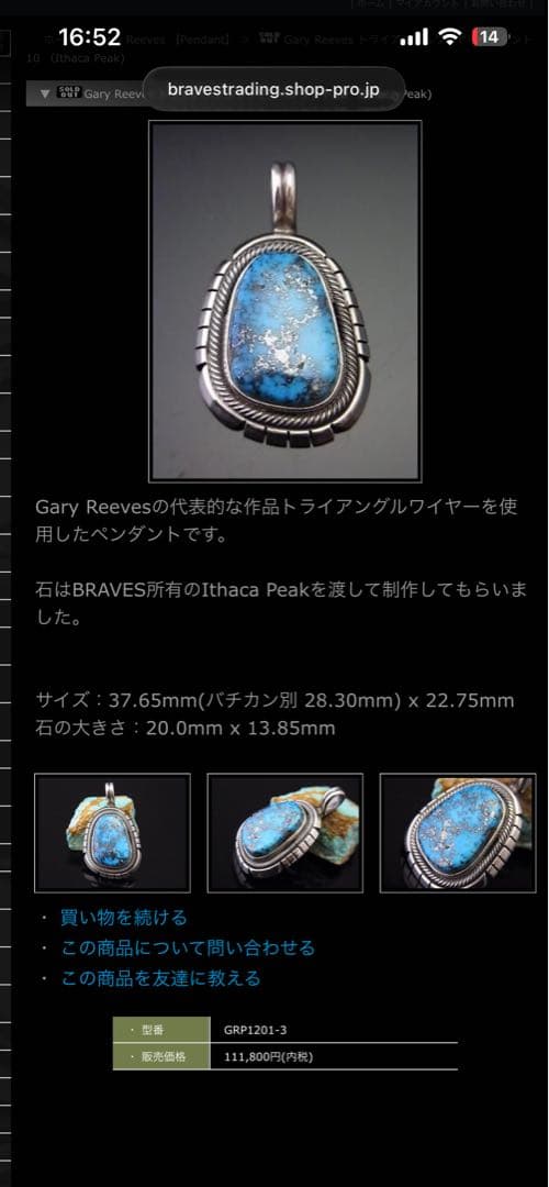 rrrGary Reeves ゲーリーリーブス ターコイズ