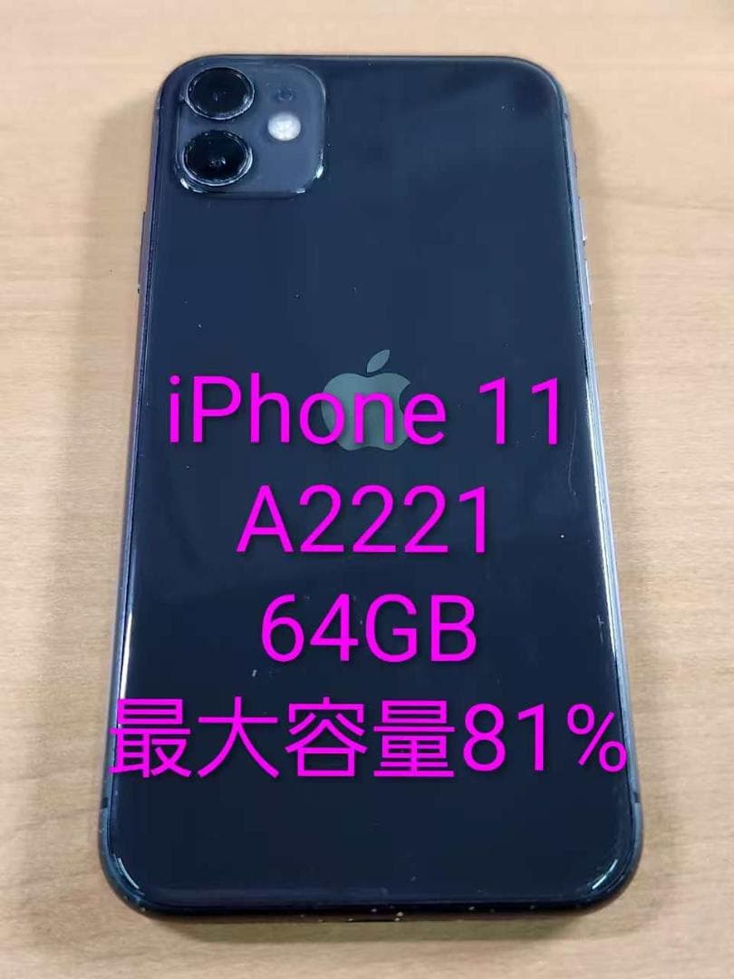 020500L iPhone 11 A2221 64GB 最大容量81%
