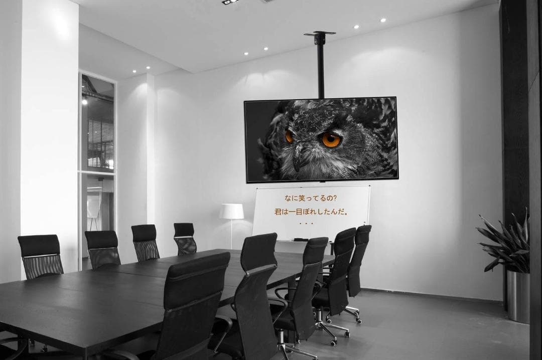 耐荷重25KGのテレビ天井吊り金具 角度調節可能