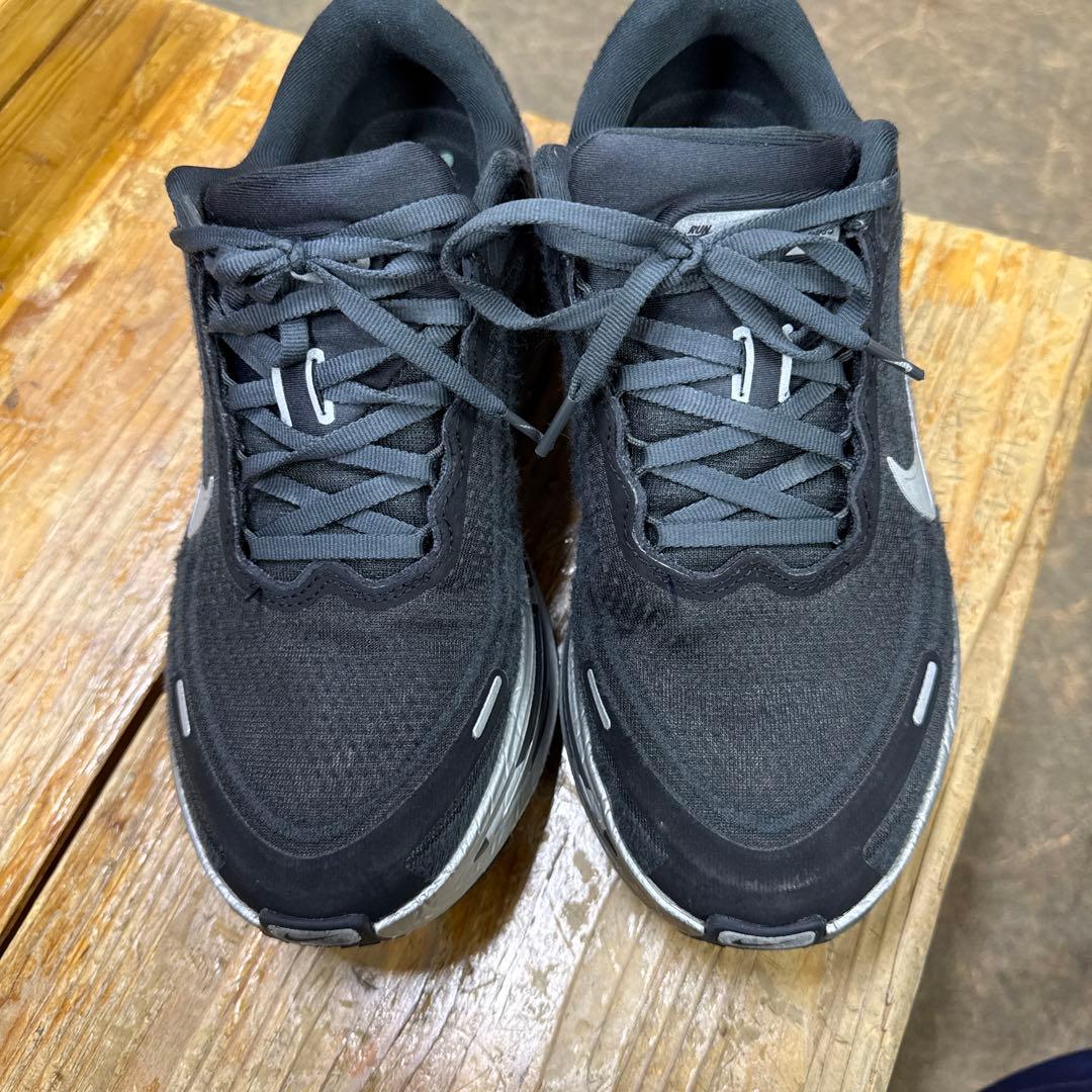 Nike Air Max ブラック/シルバー スニーカー