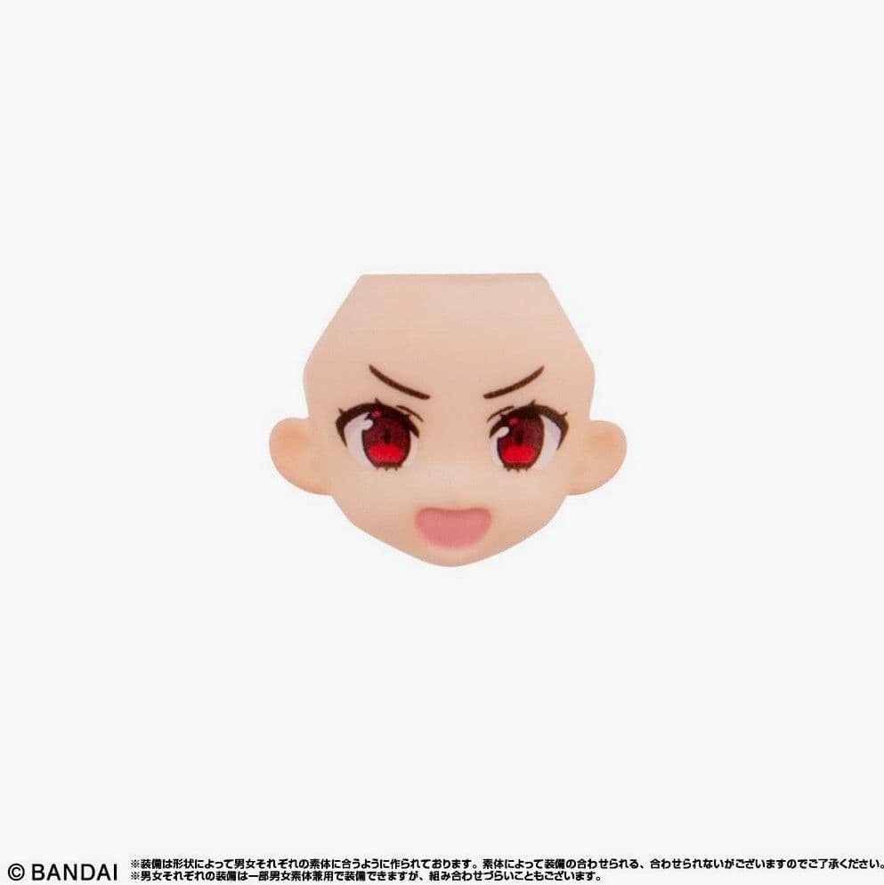 リンクトラベラーズ ～大海原の大決戦！編～ SIDE:G 全17種 フルコンプ