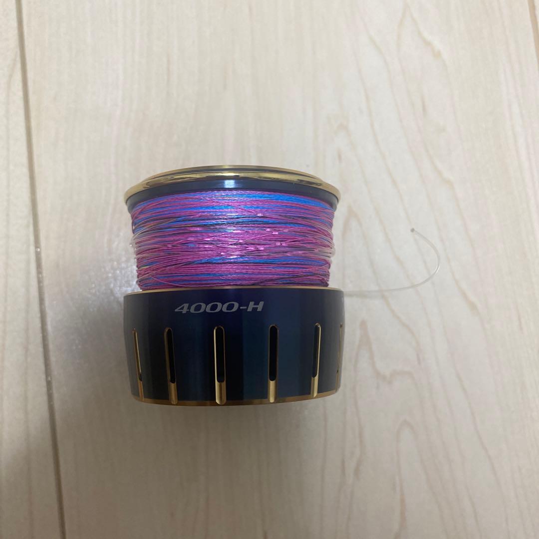ソルティガ4000番純正スプール