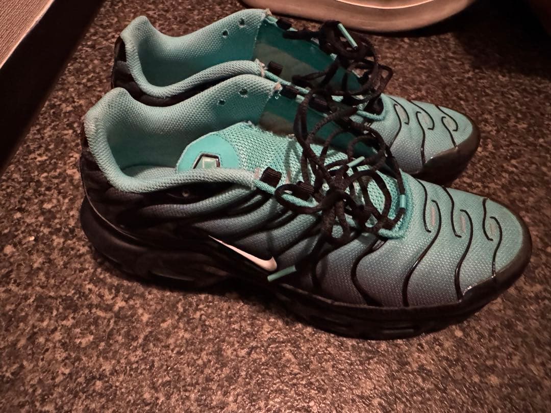 [備品✨]エアマックスプラス 26.5