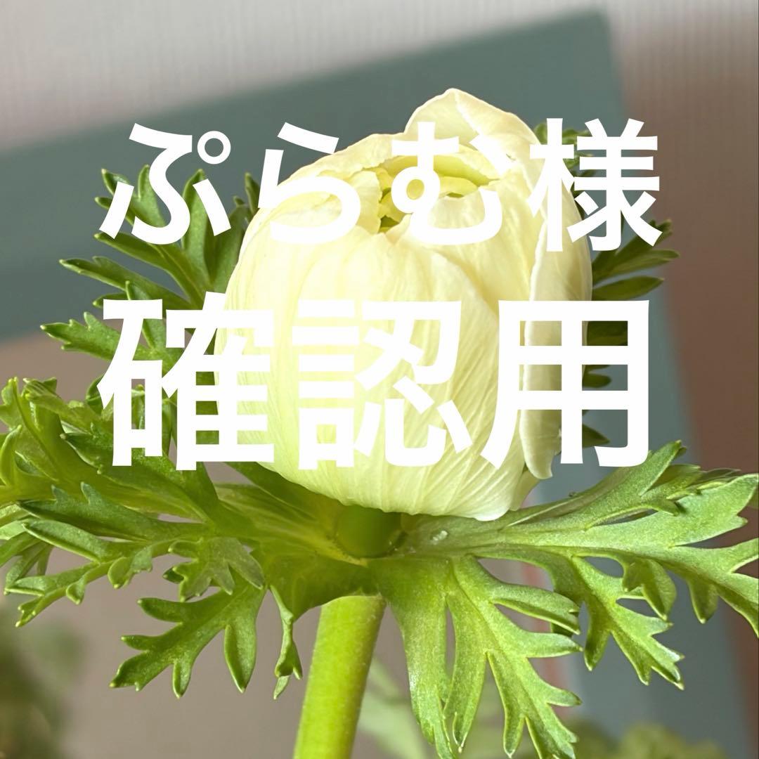 ぷらむ様　確認用　レバンテ　ビアンコ