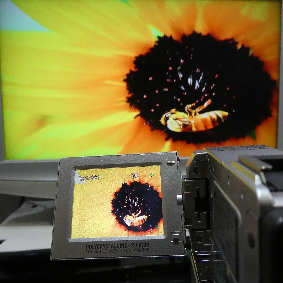 動作良好 ビクター GR-DVP9 MiniDVビデオカメラ　DVD化に最適