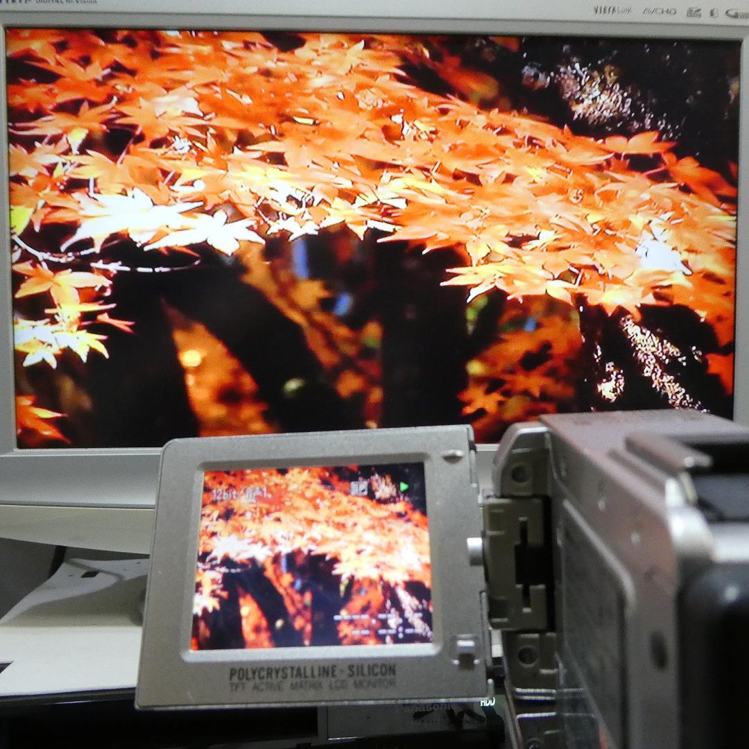 動作良好 ビクター GR-DVP9 MiniDVビデオカメラ　DVD化に最適