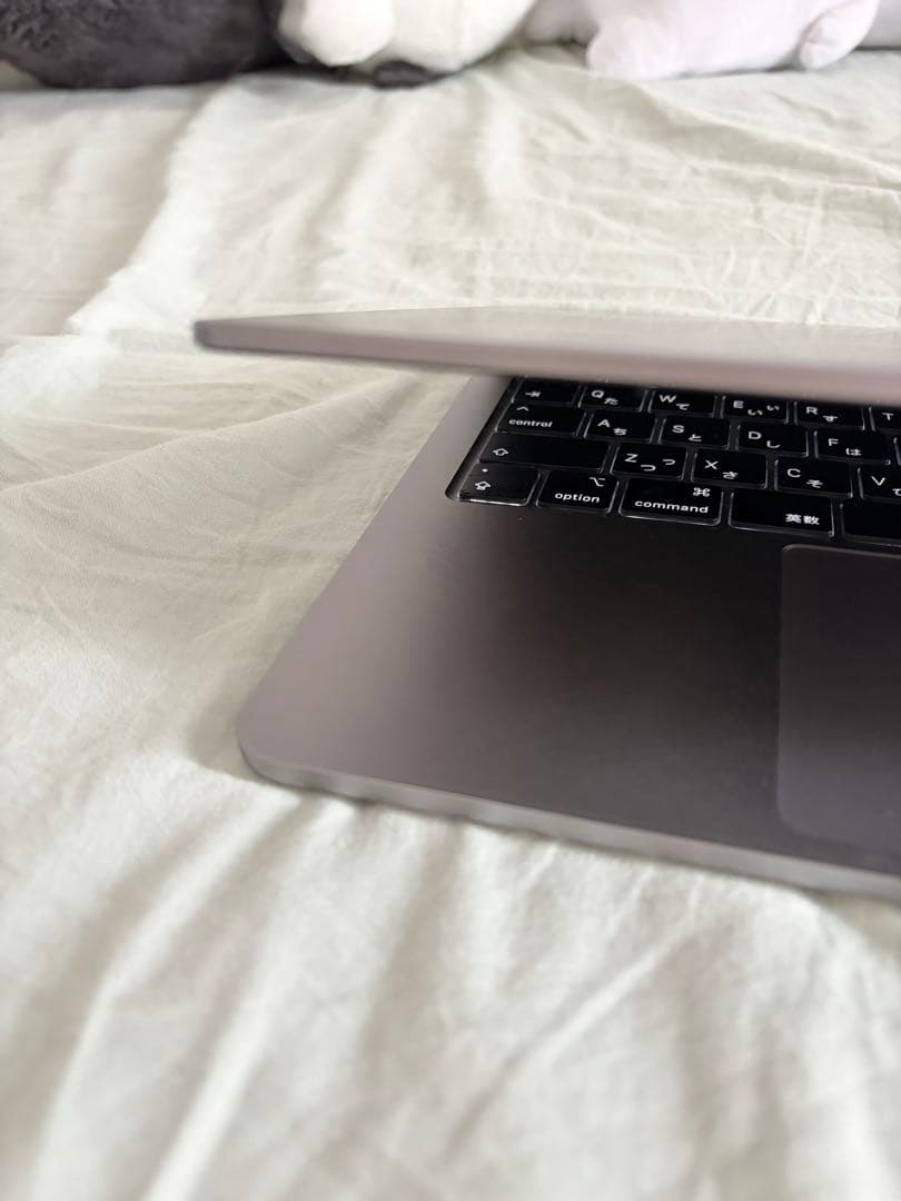 専用Apple MacBook Air (M3 ) 16GB/256GB