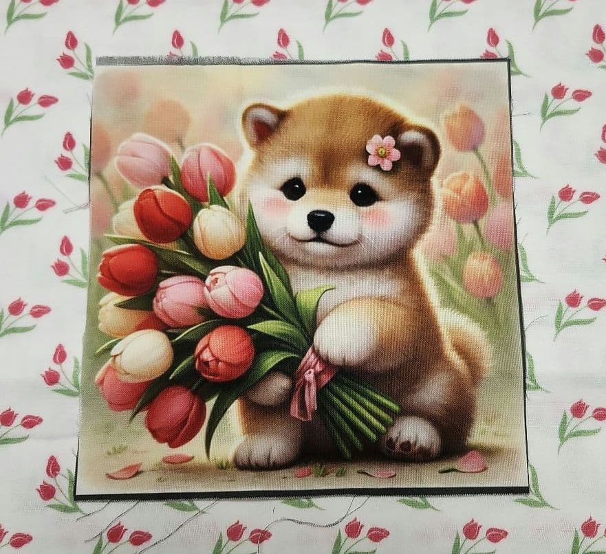 なつぞら様御確認用♬