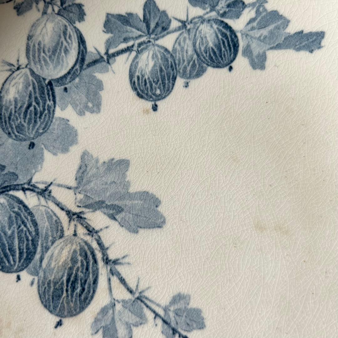 sarreguemines 高台　すぐりの実　グロゼイユ　コンポティエ　フランス