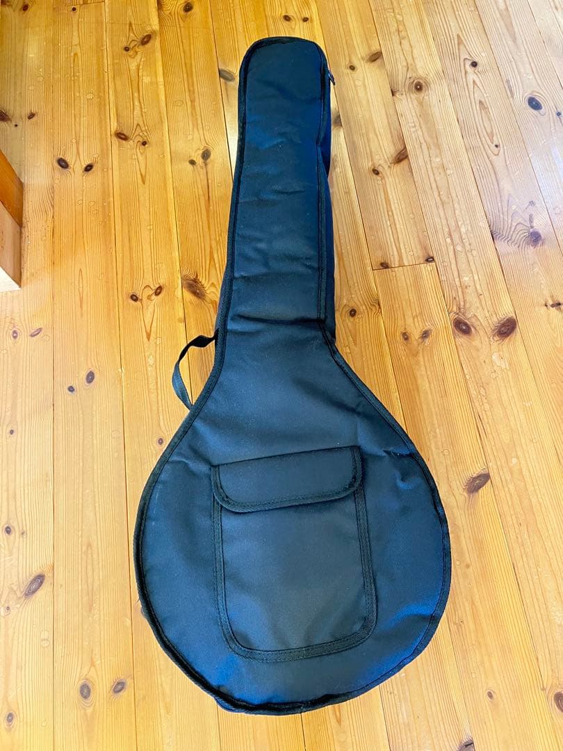 美品　Blanton 6弦バンジョー