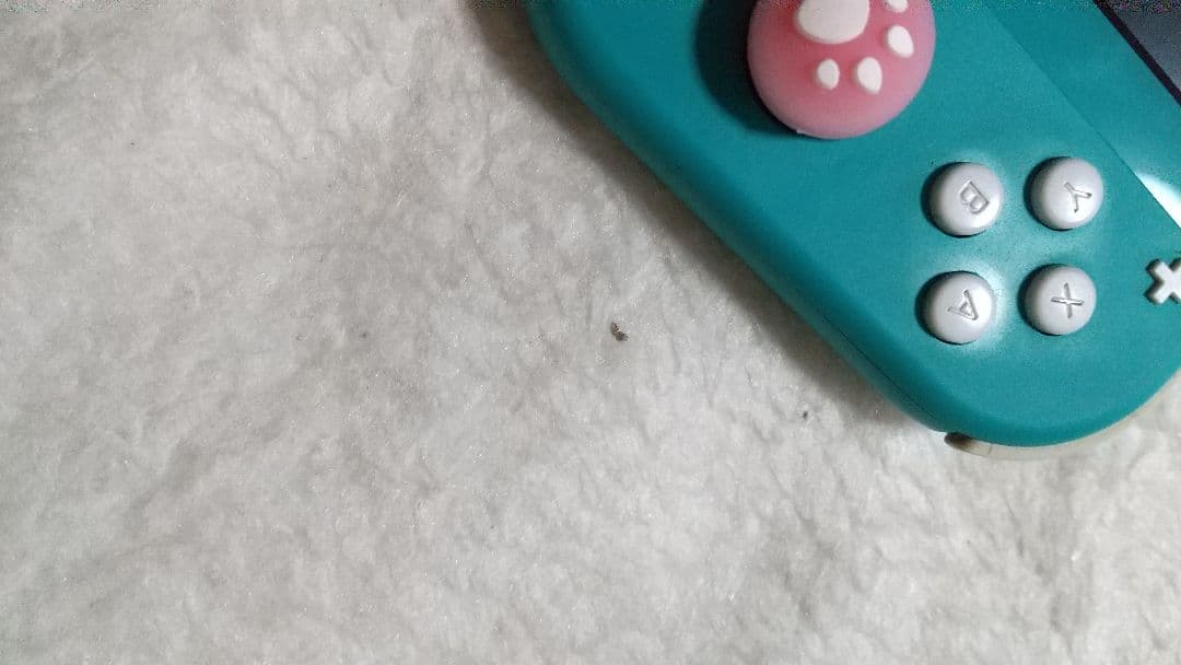 Nintendo Switch Liteターコイズ本体動作品肉球カバーアダプター