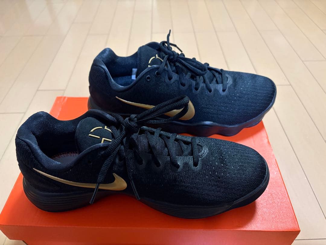 HYPER DUNK 2017 Low /ハイパーダンク 2017