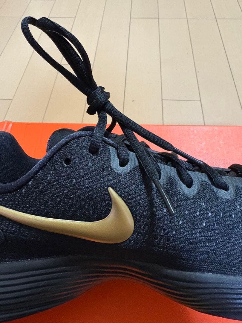 HYPER DUNK 2017 Low /ハイパーダンク 2017