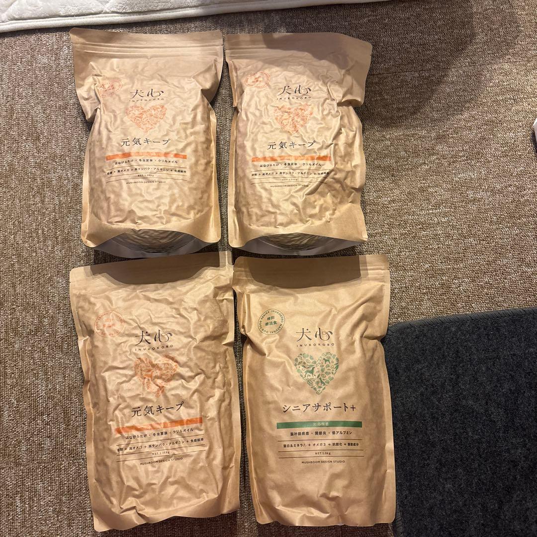 犬心　元気キープ3 シニアサポート1 ドッグフード