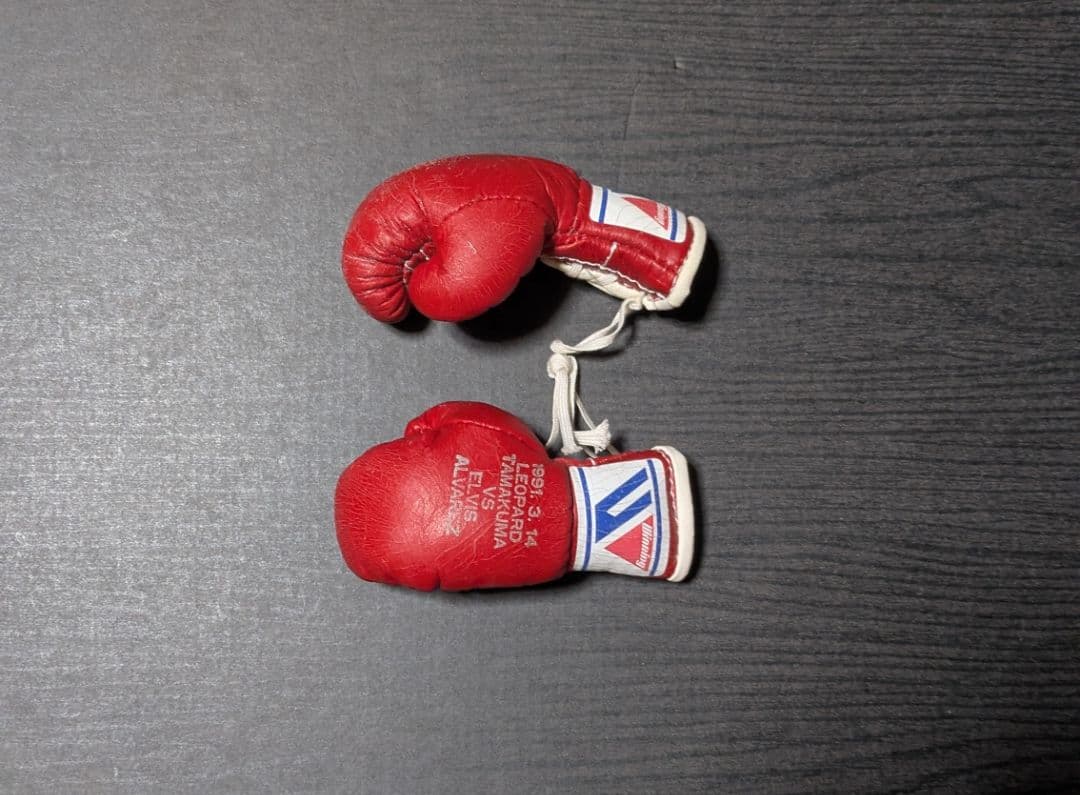 ボクシング マスコットグローブ レパード玉熊×アルバレス