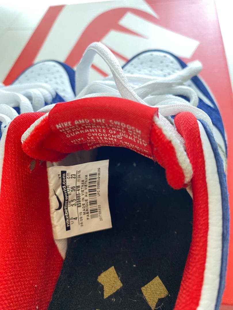 スケートボード NIKE DUNK LOW PRO IW QS 