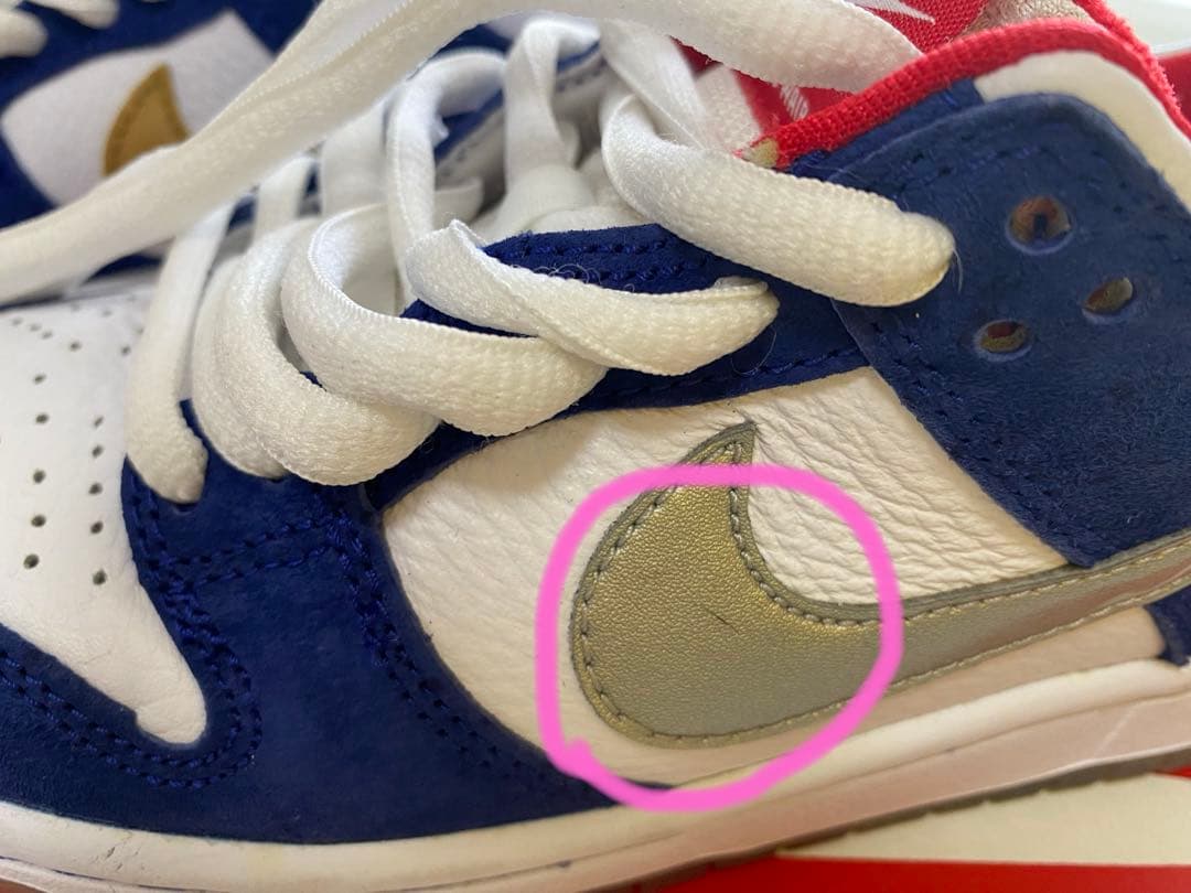 スケートボード NIKE DUNK LOW PRO IW QS 