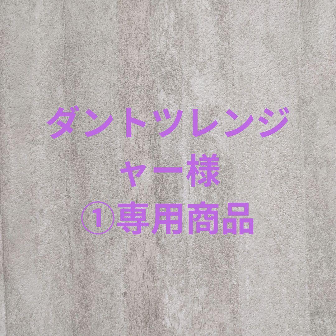 225/80R17.5 123/122L SP 001 新品 2025年 6本