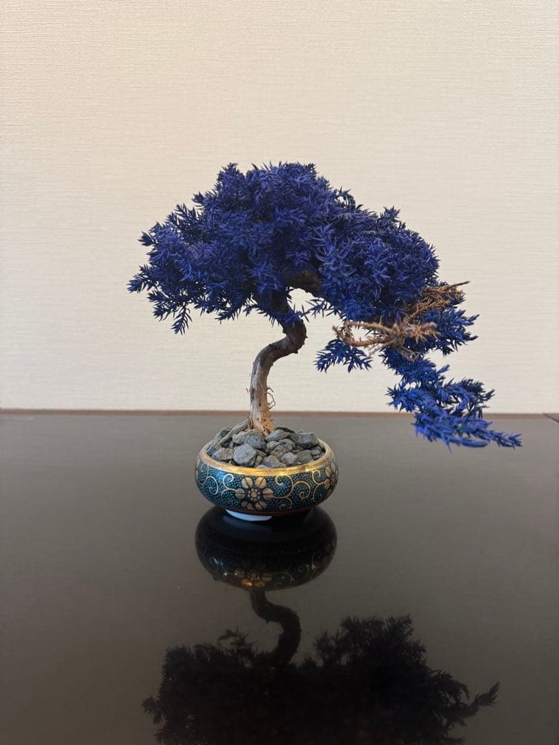 【激レア】RE BONSAI 九谷焼 RE盆栽 青【Man 岩本照愛用】