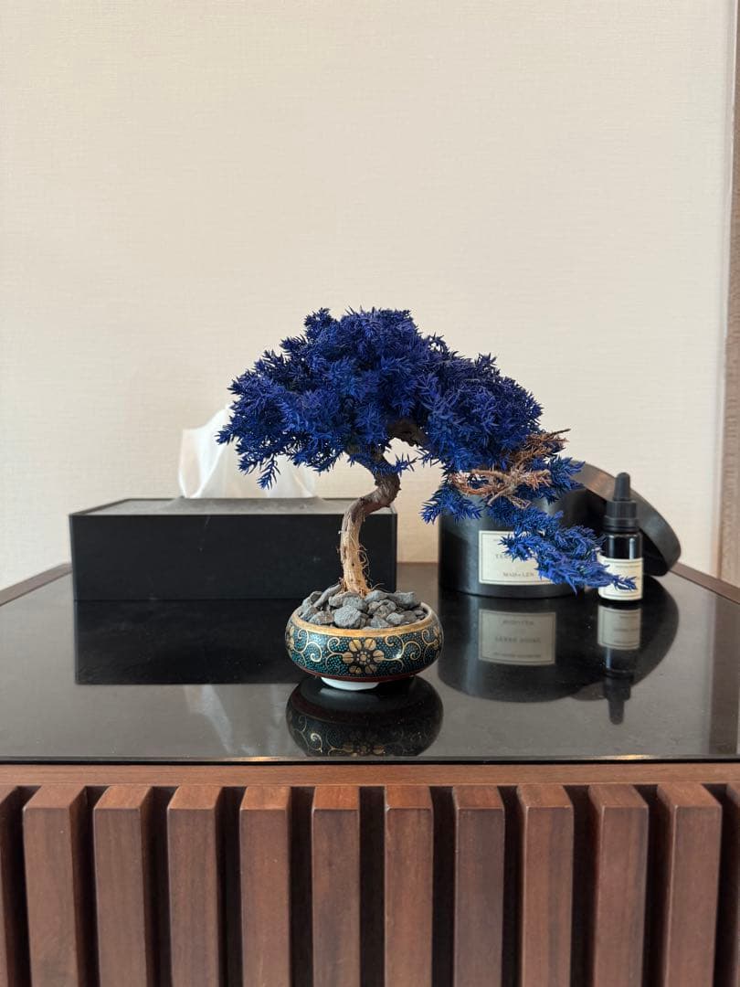 【激レア】RE BONSAI 九谷焼 RE盆栽 青【Man 岩本照愛用】