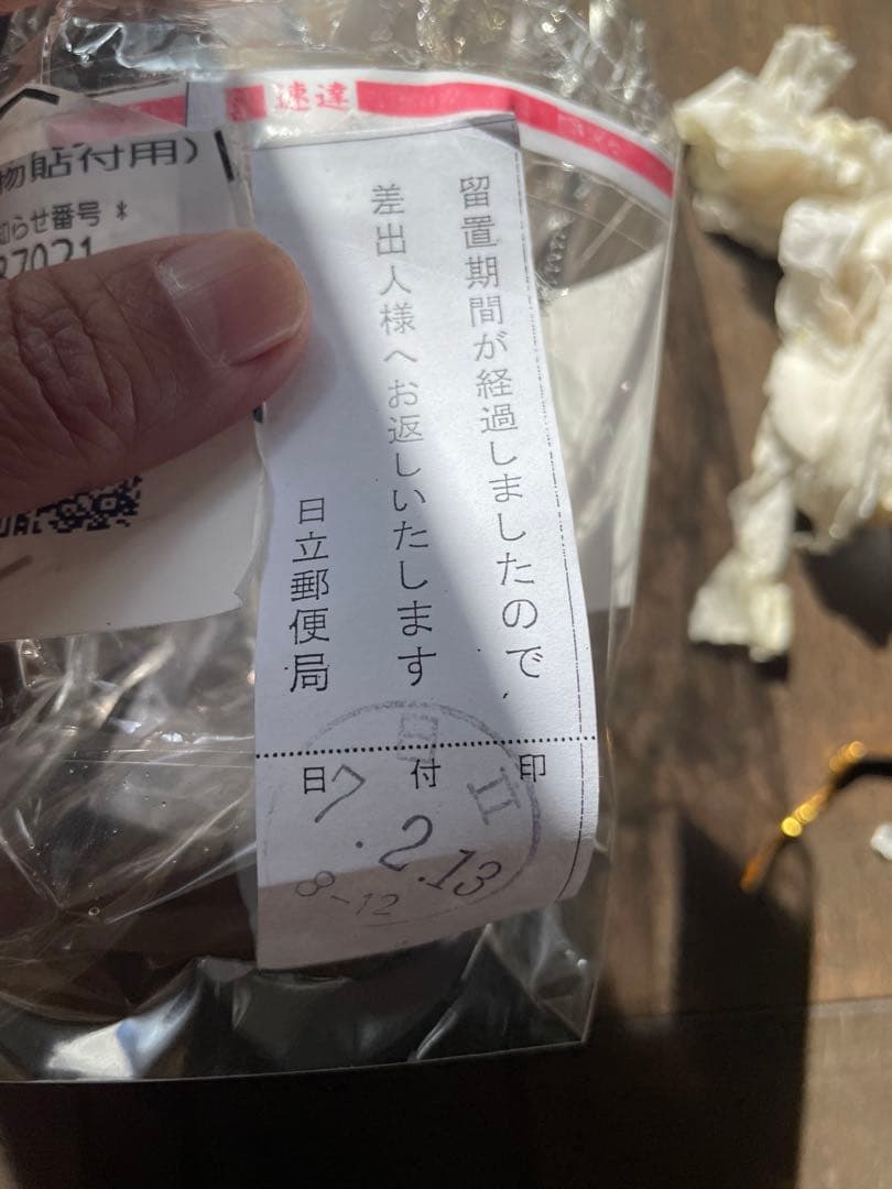 多肉植物 ご確認用