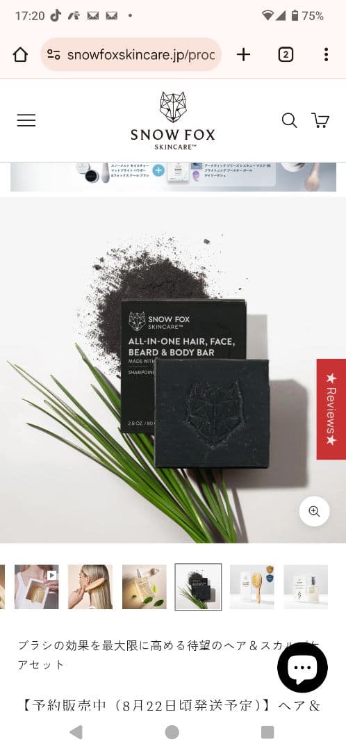 最終値下げ!!お得です!! FOX ヘアブラシ・スカルプケアセット