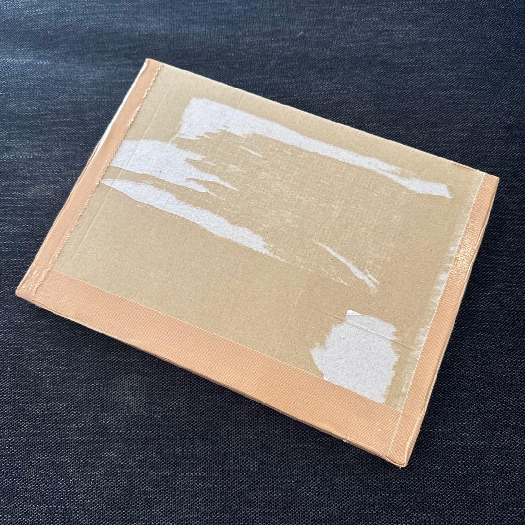 Apple Pencil Pro ほぼ新品 おまけ付き