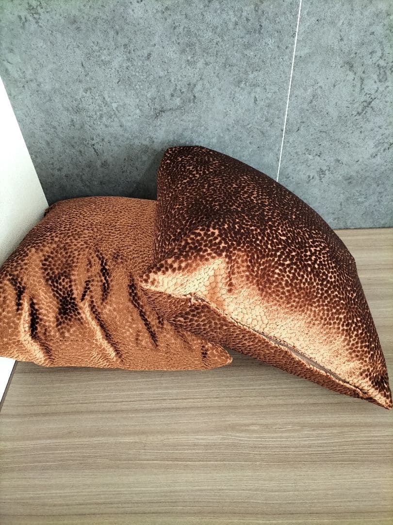 ◆フィスバ◆クッションカバーのみ◆2点◆45cm◆Z-2507CU6◆