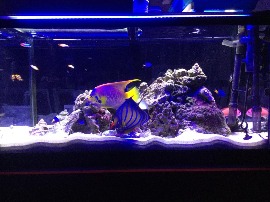 Tetra テトラUV殺菌灯 UV-120【新品・未使用】熱帯魚 海水魚