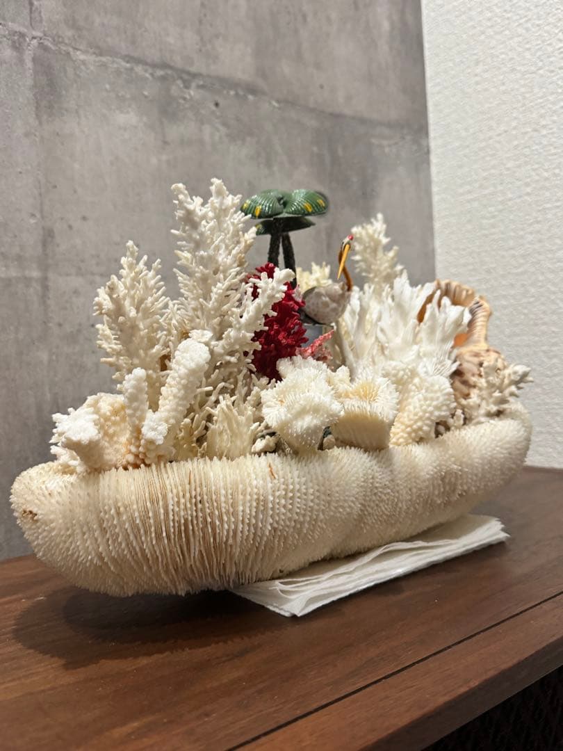 白珊瑚天然　オブジェ　アクアリウム　インテリア　デコレーション サンゴ