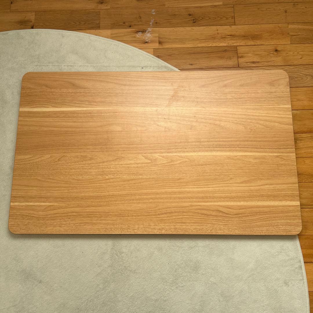 FLEXISPOT 天板 100×60