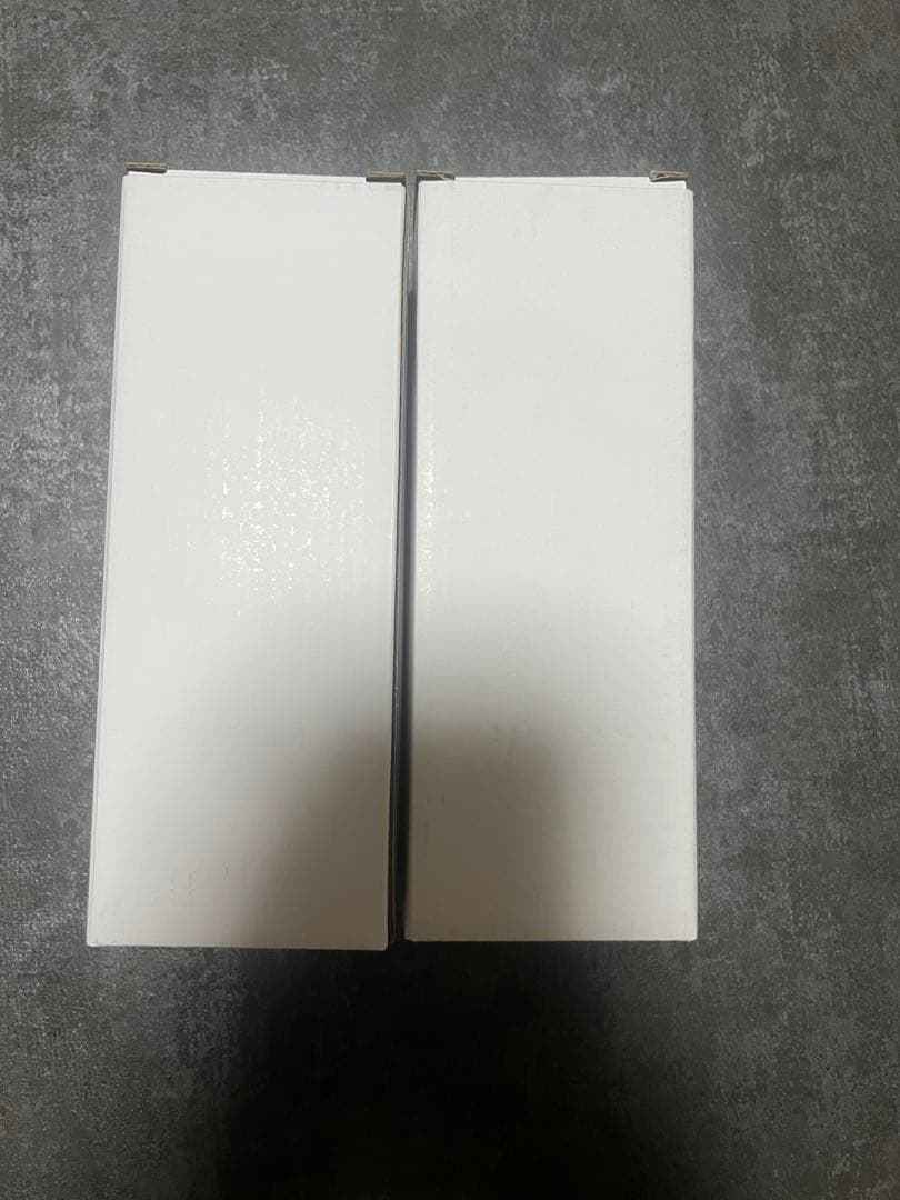 スタバ　ポーター　リサイクルステンレスボトル　2点セット