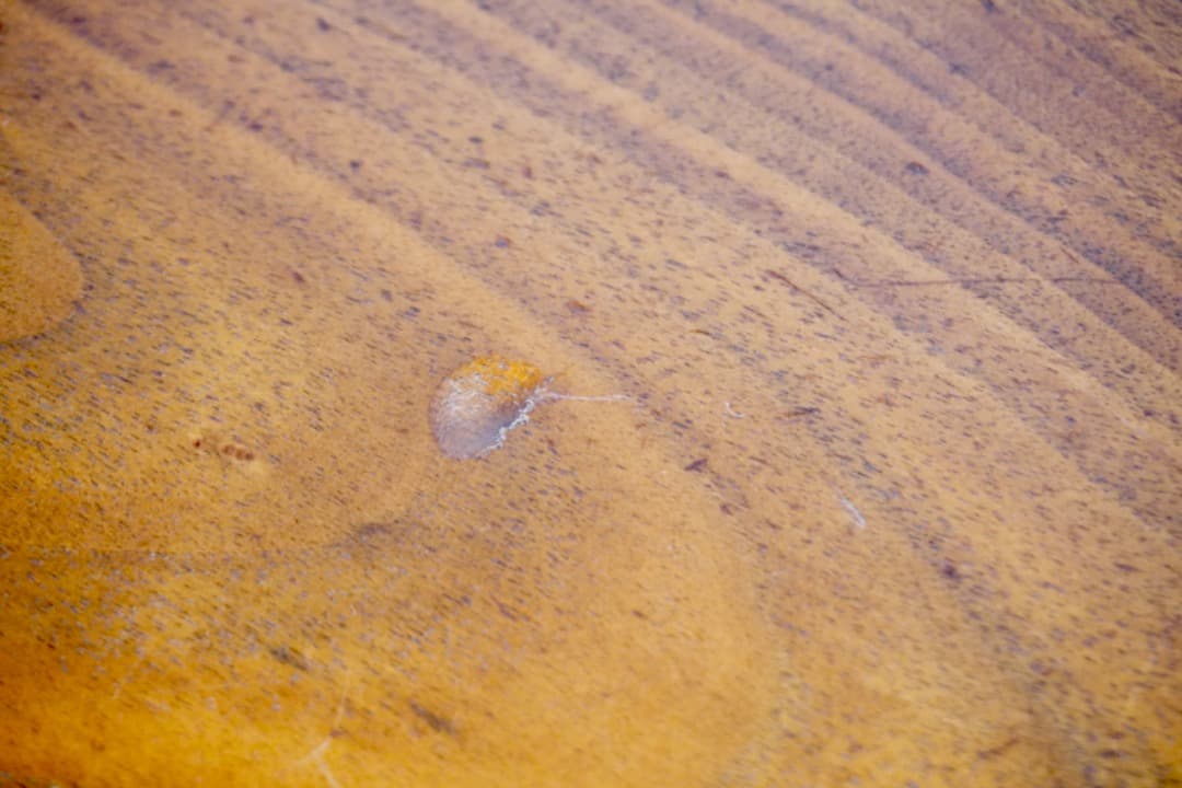 ACTUS REN ダイニングテーブル ウォールナット 北欧テイスト