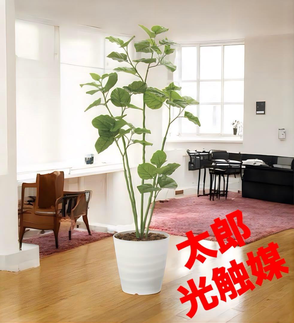 光触媒　観葉植物　ウォールグリーン　フェイクグリーン　ブランチウンベラータ1.6