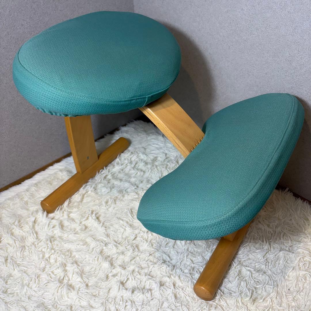 【極美品】リボ Rybo バランスイージー バランスラボ　balans カバー付