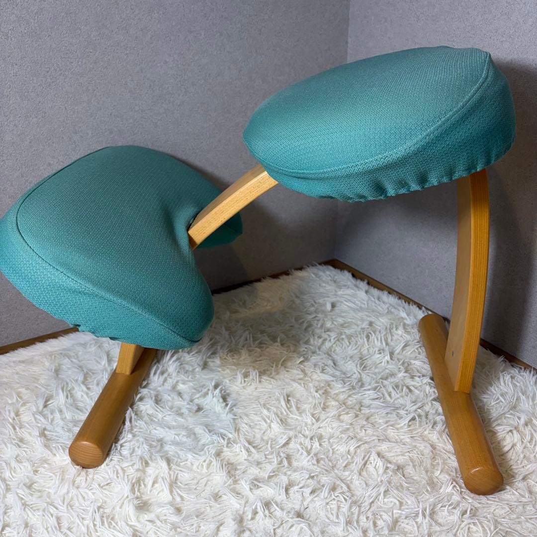 【極美品】リボ Rybo バランスイージー バランスラボ　balans カバー付