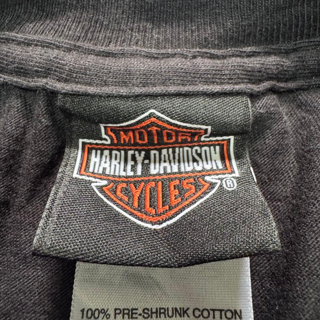 00sUSA製 ハーレーダビッドソン ブラック ドラゴン ブルーフレイム ロンT