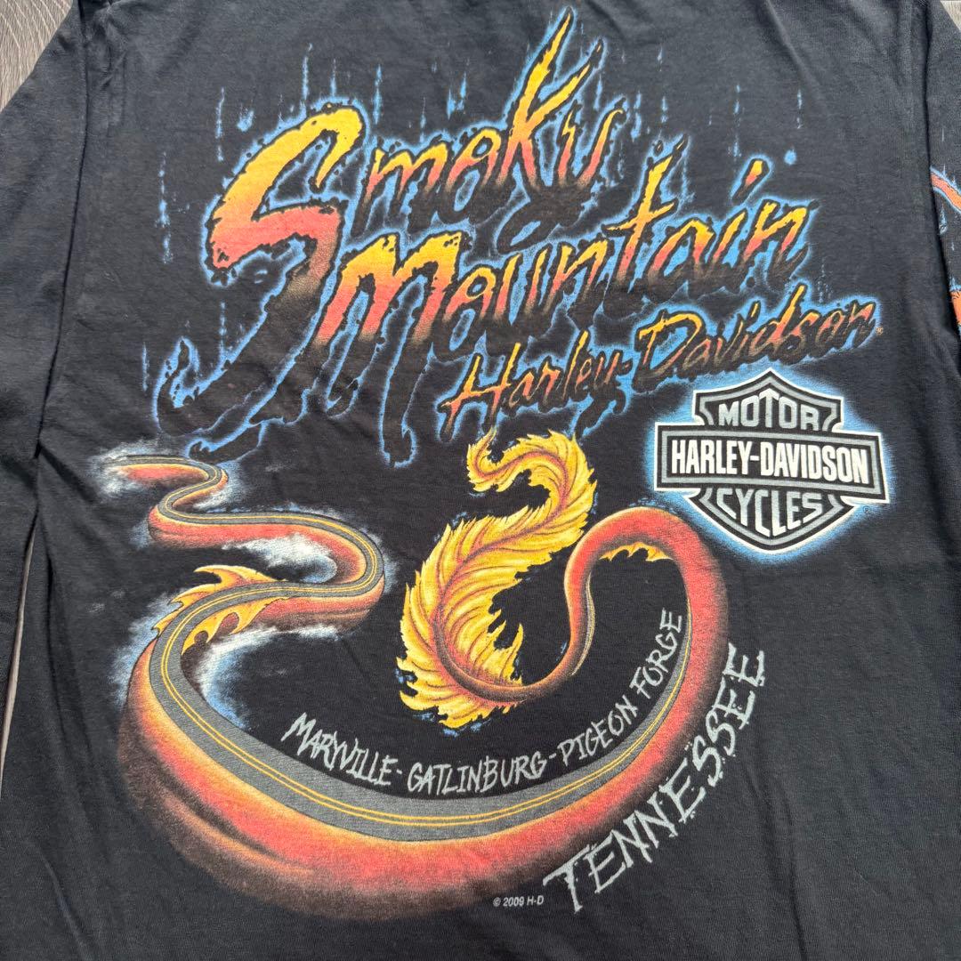 00sUSA製 ハーレーダビッドソン ブラック ドラゴン ブルーフレイム ロンT